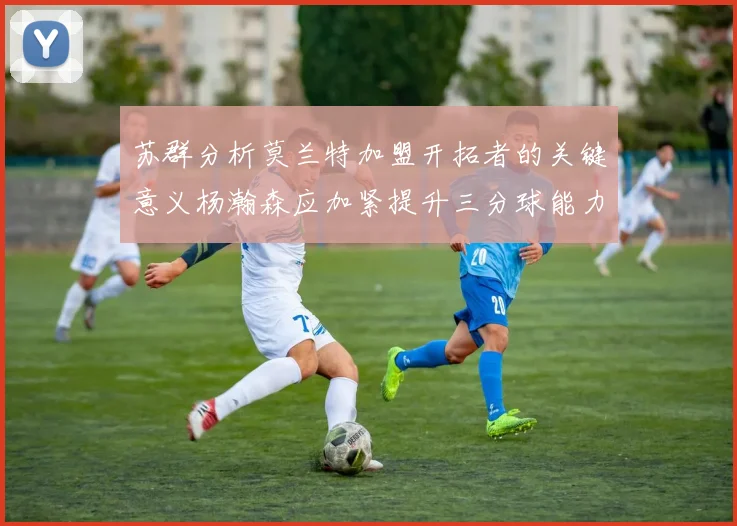 苏群分析莫兰特加盟开拓者的关键意义杨瀚森应加紧提升三分球能力