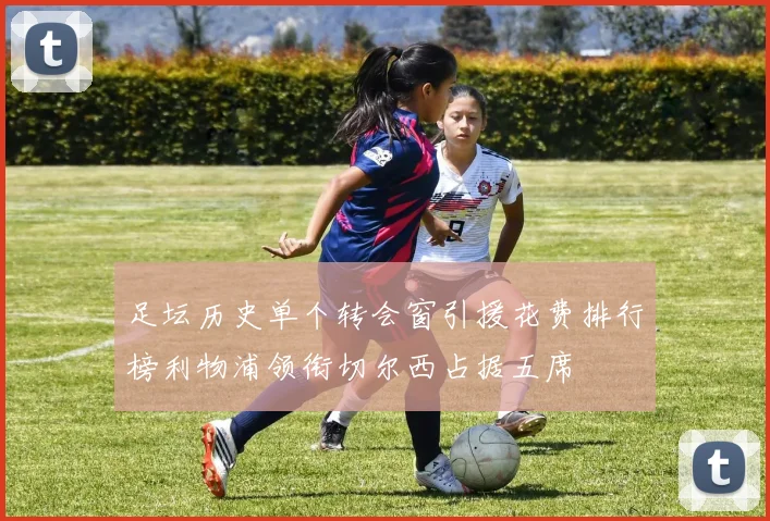 足坛历史单个转会窗引援花费排行榜利物浦领衔切尔西占据五席
